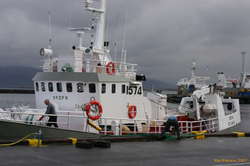 Dröfn unties and heads out again