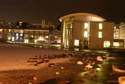 Birds snoozing on the ice at Tjörnin