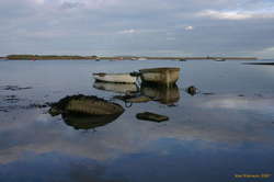 Sexy yachts need not apply