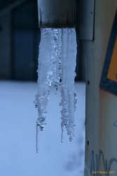 Icicles