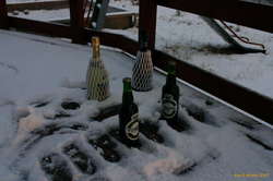 These old soldiers stayed out all night