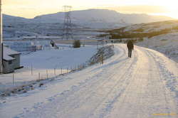 Wolfgang strides off into the sun