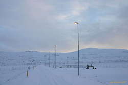 Must be a busy road, street lights and all.