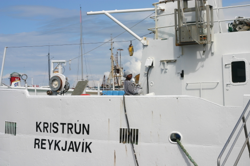 A Girl painting a boat