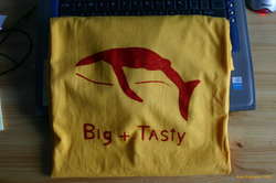 The first of the summer colour line rolls off the assembly line