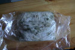 Even toilet paper goes mouldy