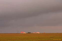 A farm in the sunset