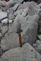 A million bacteria on the head of a needle