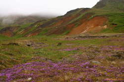 It's not all green and red