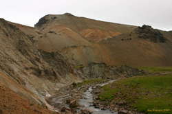 Green vs the hot dry