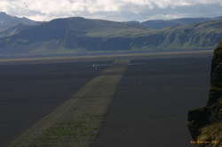 Strange test strips of lupines