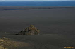 Rising from the sand