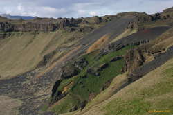 Lupines add an unnatural green