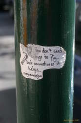 Snippets of insight 2