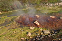 Hot upwelling mid stream