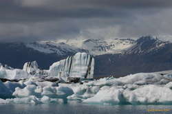 Big stripey gang leaders