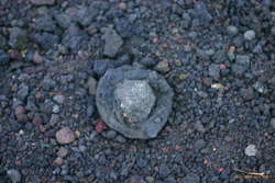 Lots of small lava bombs