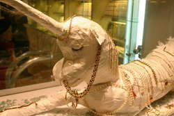 Window display at Meba