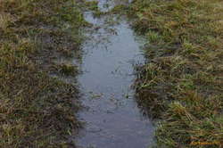 Warm afternoon (see the frosty morning)