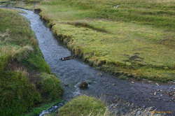 Our dam after we left