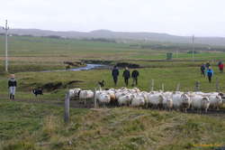 Here come the last of this batch