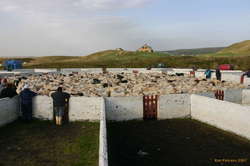 Squish them all in so they can't run away!