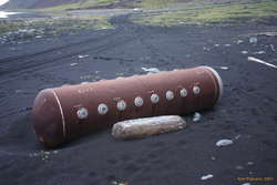 Unidentified beach washup