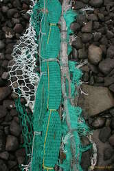 Someone put a lot of effort into this road