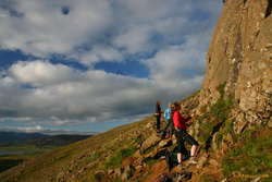 Lounge lizards at Valshamar