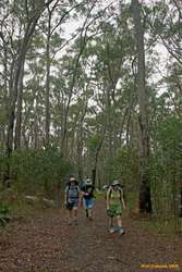 Mum, Matthew and Helen along the track