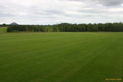 The green green grass of twin view turf