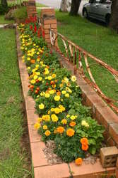 Front flower bed
