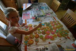 Birta and the decorated biccies