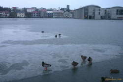 Rain melting the pond