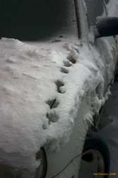 Interesting melt patterns