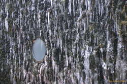 Icicles on City Hall