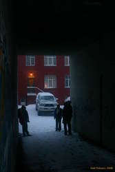 Hiding from the snow