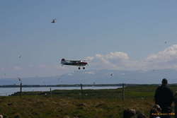 Sightseers from the mainland