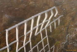 Ice on the leading edge of the wire