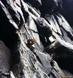 Someone's been climbing