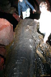 Shiny, but I forgot that shiny means reflective as well :)