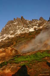 Green and warm in the snow and wind