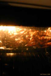 Marcus slaughtered a flock of chickens to feed us.