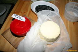 My first waxed cheddar, and ricotta salata being salted