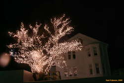 Christmas lights on a fancy house