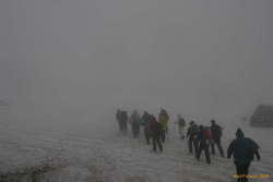 Might as well head off then