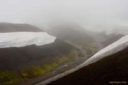 Green warm creeks, cutting across the plateau