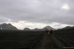 Roaming across the sands