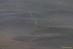 My dearest watching and waiting