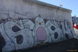 I just wish I could fly